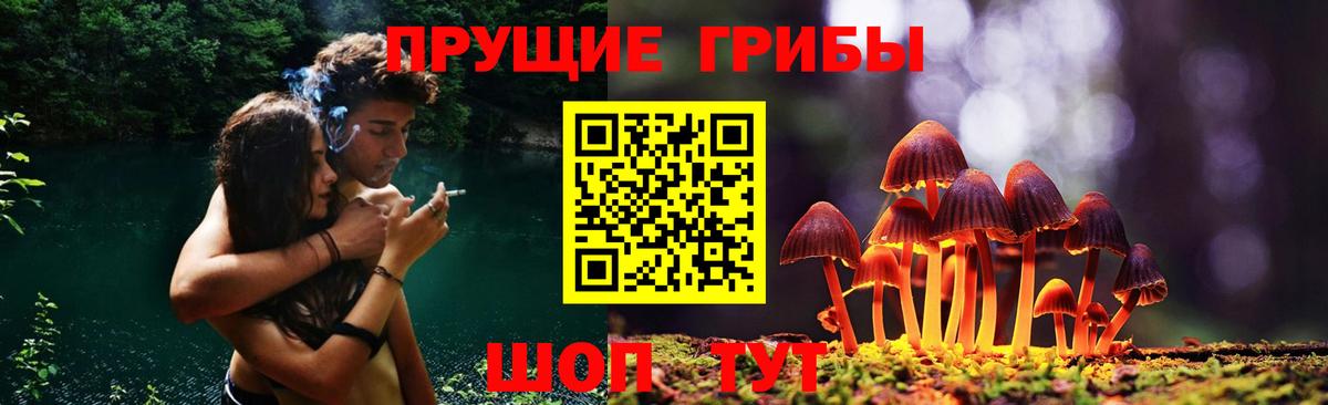 Галлюциногенные грибы Psilocybine cubensis Тобольск